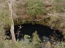 Apalachicola National Forest 180