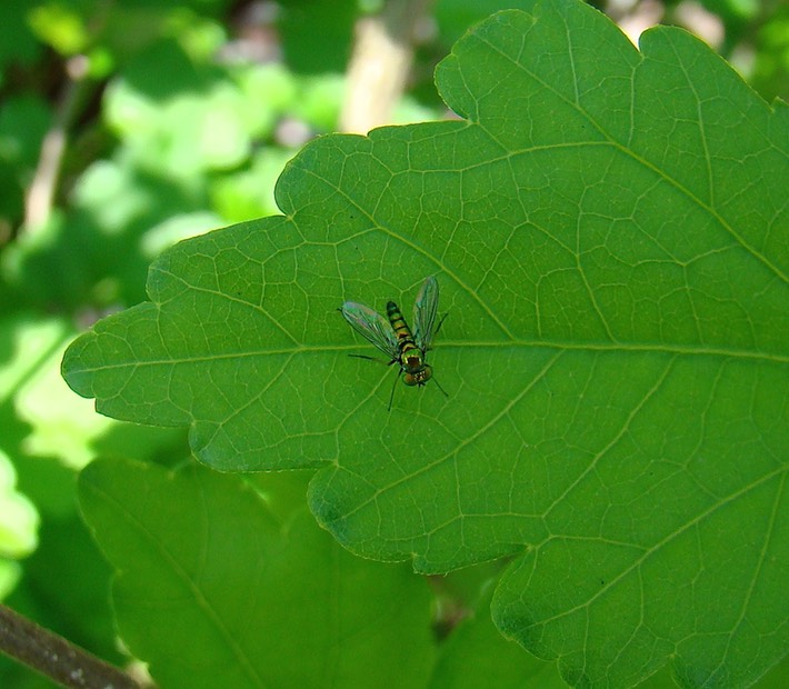 Around the House - MO - New Cam (2) Jackson