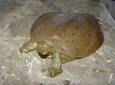 DSC00002
