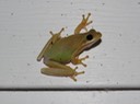 DSC00066