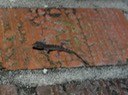 DSC00102