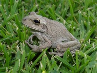 DSC00131