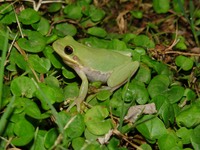 DSC00178
