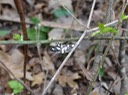 DSC00192