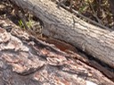 DSC00353