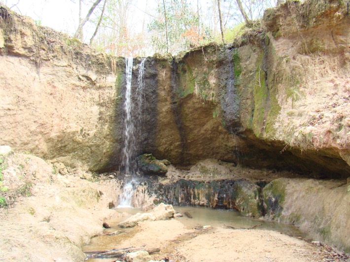 DSC00386 Clark Creek