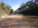 DSC00497