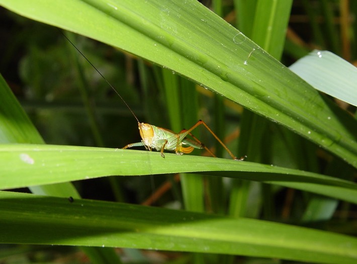 DSC00507