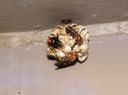 DSC00535 (2)