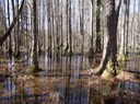 DSC00543