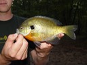 DSC00582 Ocoee