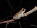 DSC00591
