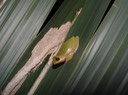DSC00664
