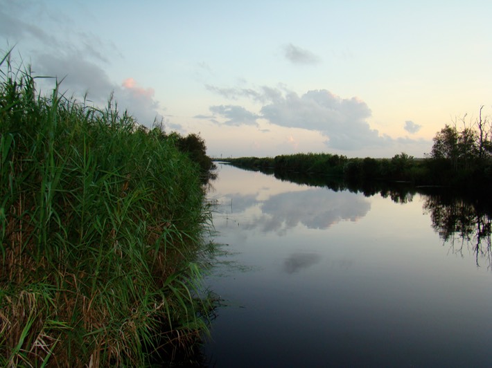 DSC00712 Cameron Parish