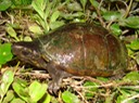 DSC00823
