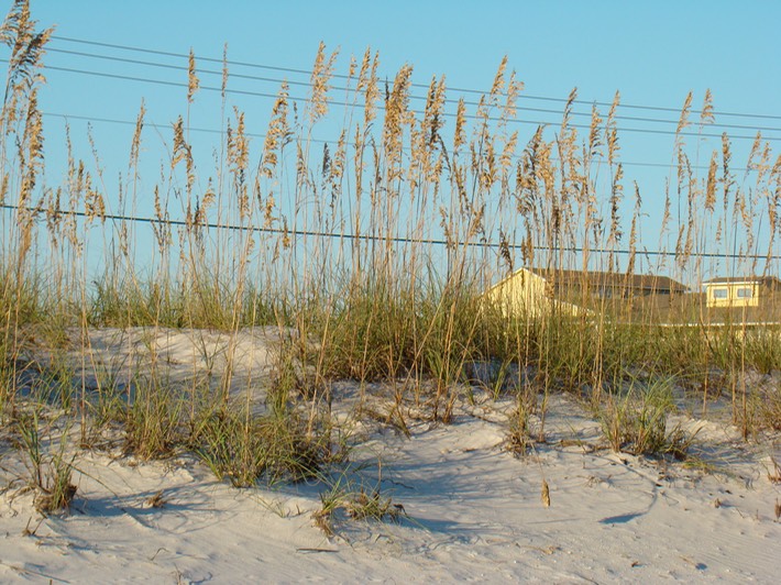 DSC00857