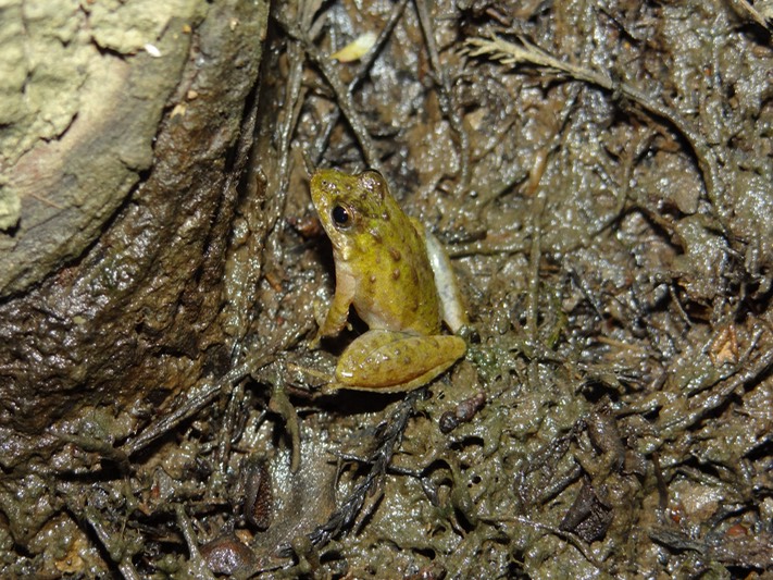DSC00889