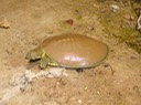 DSC00906