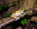DSC00909 (2)
