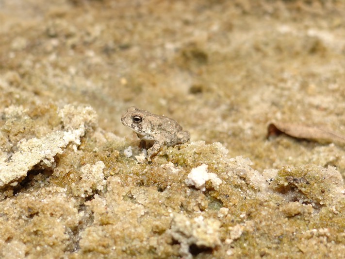 DSC00909