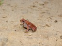 DSC00911