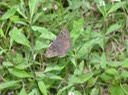 DSC01470
