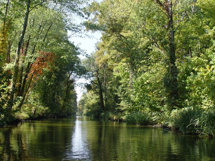 DSC01555