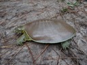 DSC01681