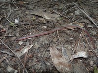 DSC01858