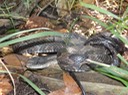 DSC02234