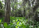 DSC02689