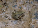 DSC03248