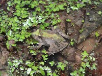 DSC03295