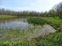 DSC03328_Heron Pond