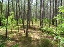 DSC03465