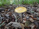 DSC03615