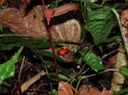 DSC03770