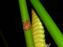 DSC03969