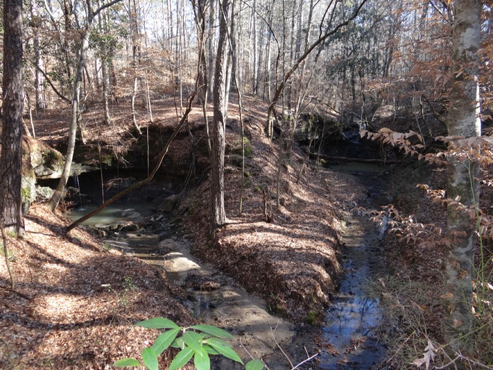 Sicily Island Hills WMA, Catahoula Parish, LA Brad Glorioso’s