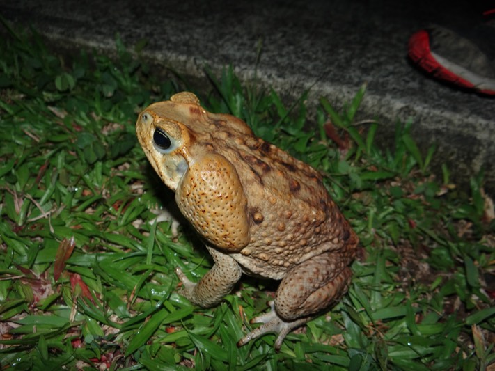 DSC04177