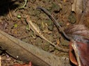 DSC04207