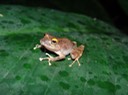DSC04218
