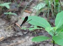 DSC04707