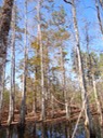DSC04728