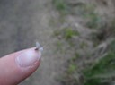 DSC04782