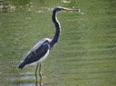 DSC05002