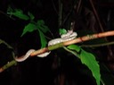 DSC05018