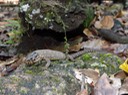 DSC05253