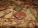 DSC05352