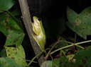 DSC05424